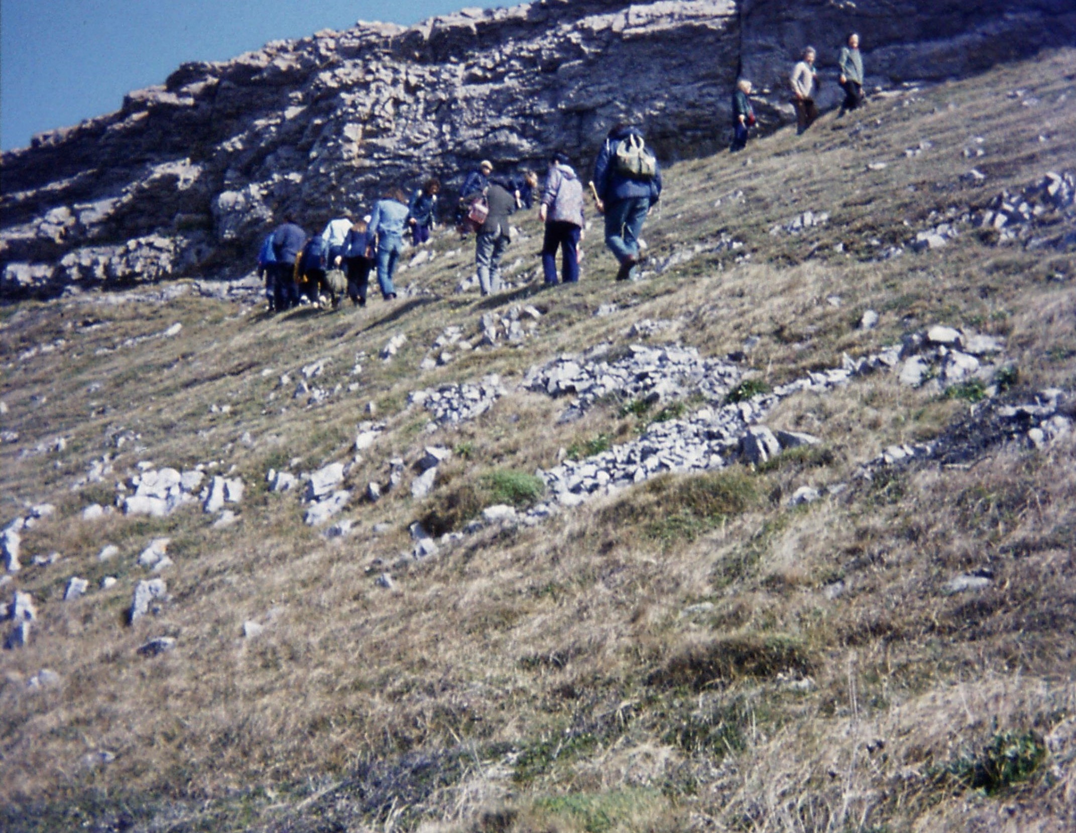 1973.04 Gower1. 'Climbing up from wave-cut platform, Overton'