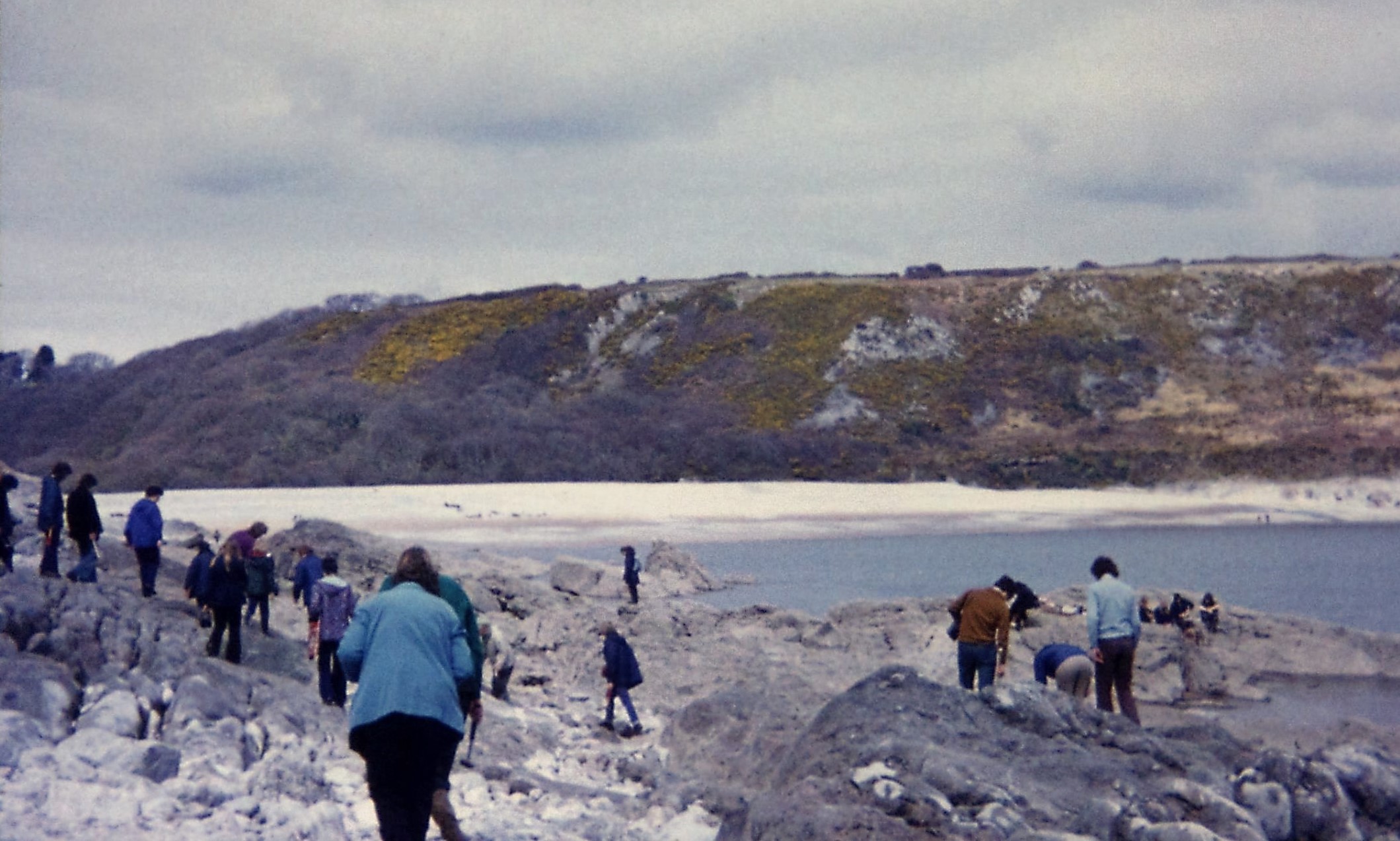 1973.04 Gower3. Pwll-Du. 'Patella beach'