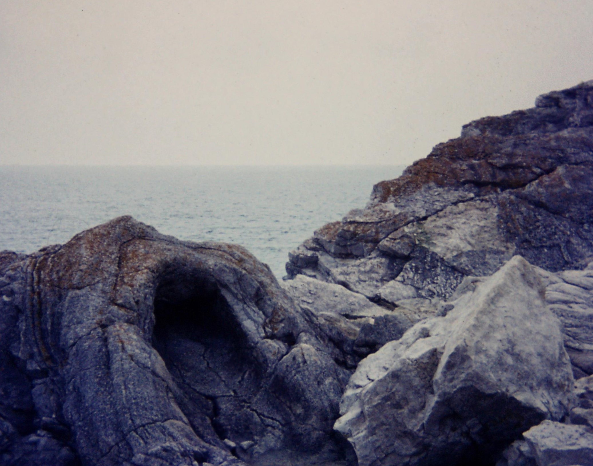 1975.04.06 Dorset2. Lulworth fossil forest. Purbeck Group