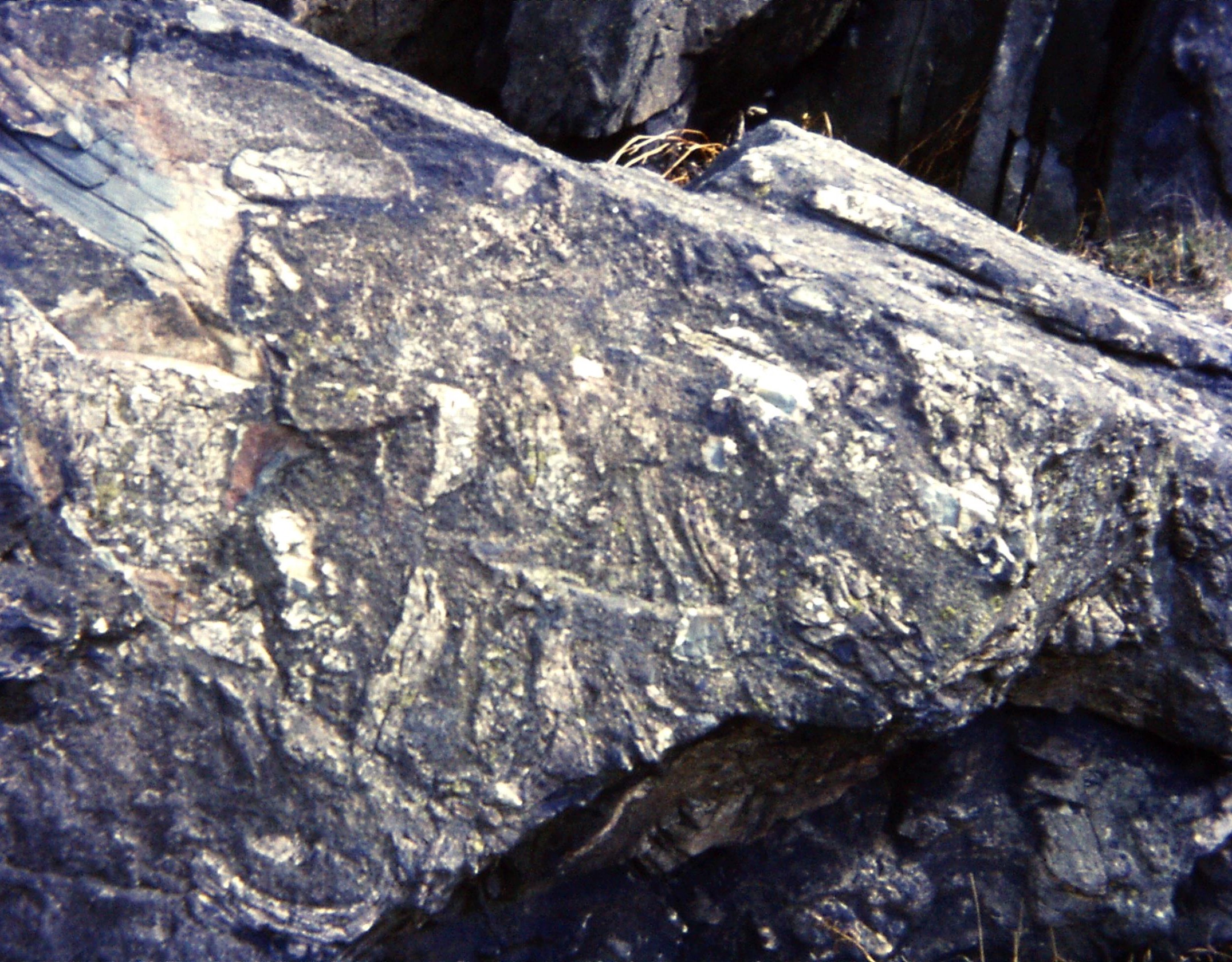 1976.04.03 Charnwood Forest. Bradgate Pk. Slump Breccia (Bradgate Fm)