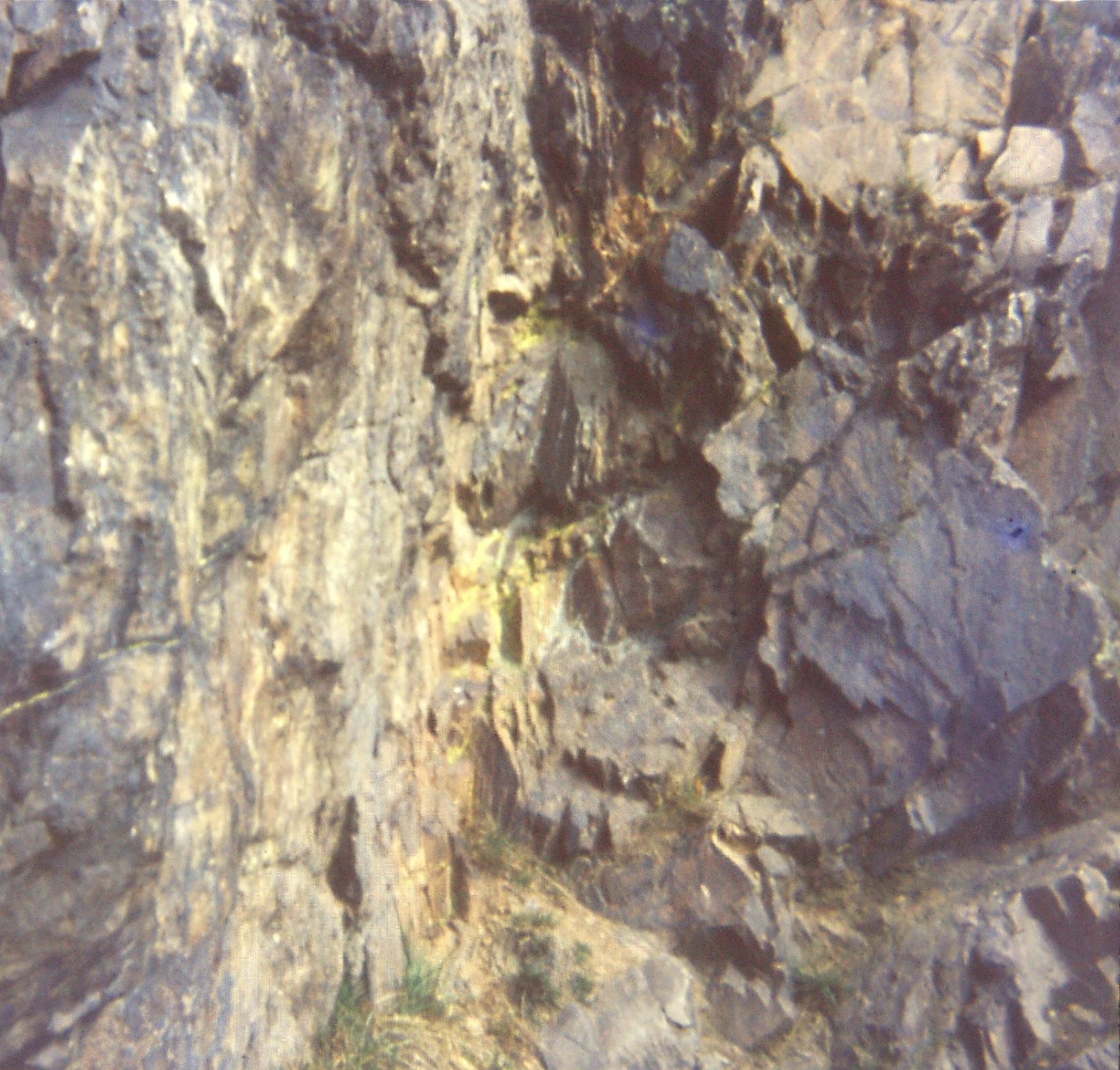 1976.04.03 Charnwood Forest10. Bradgate Park. Stable Pit Mbr. Fault breccia