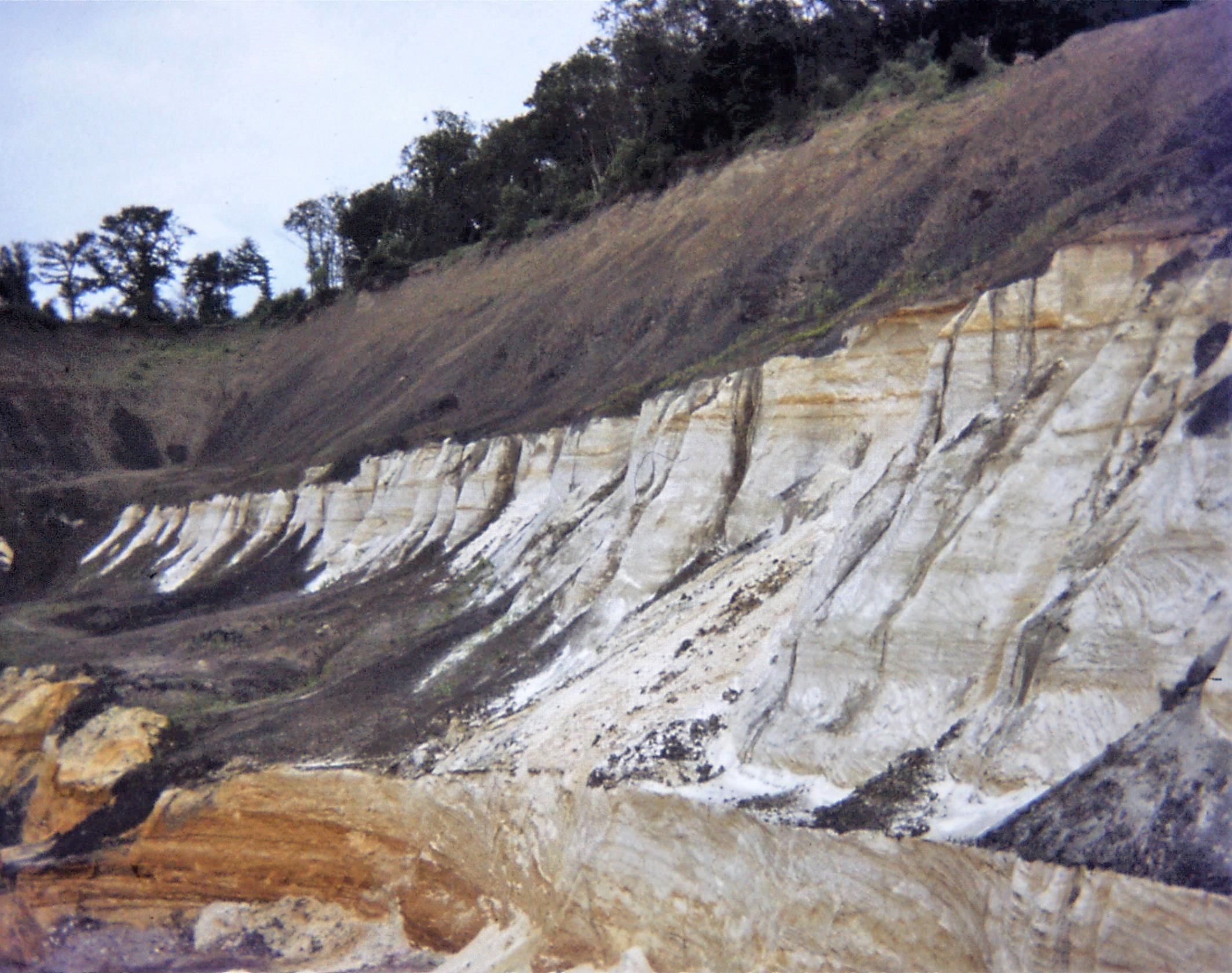 1980.05.15 Kent. Westerham. Squerry's Pit. Upr Greensand