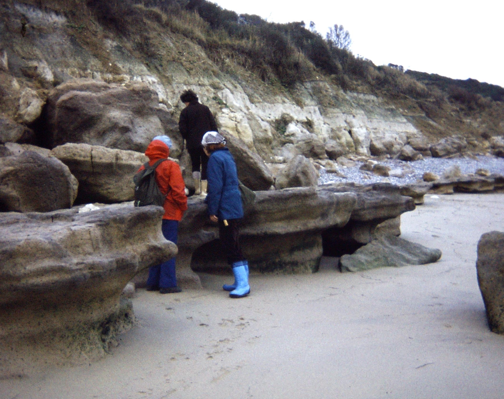 1980.10.05 IOW.  Bembridge Limestone