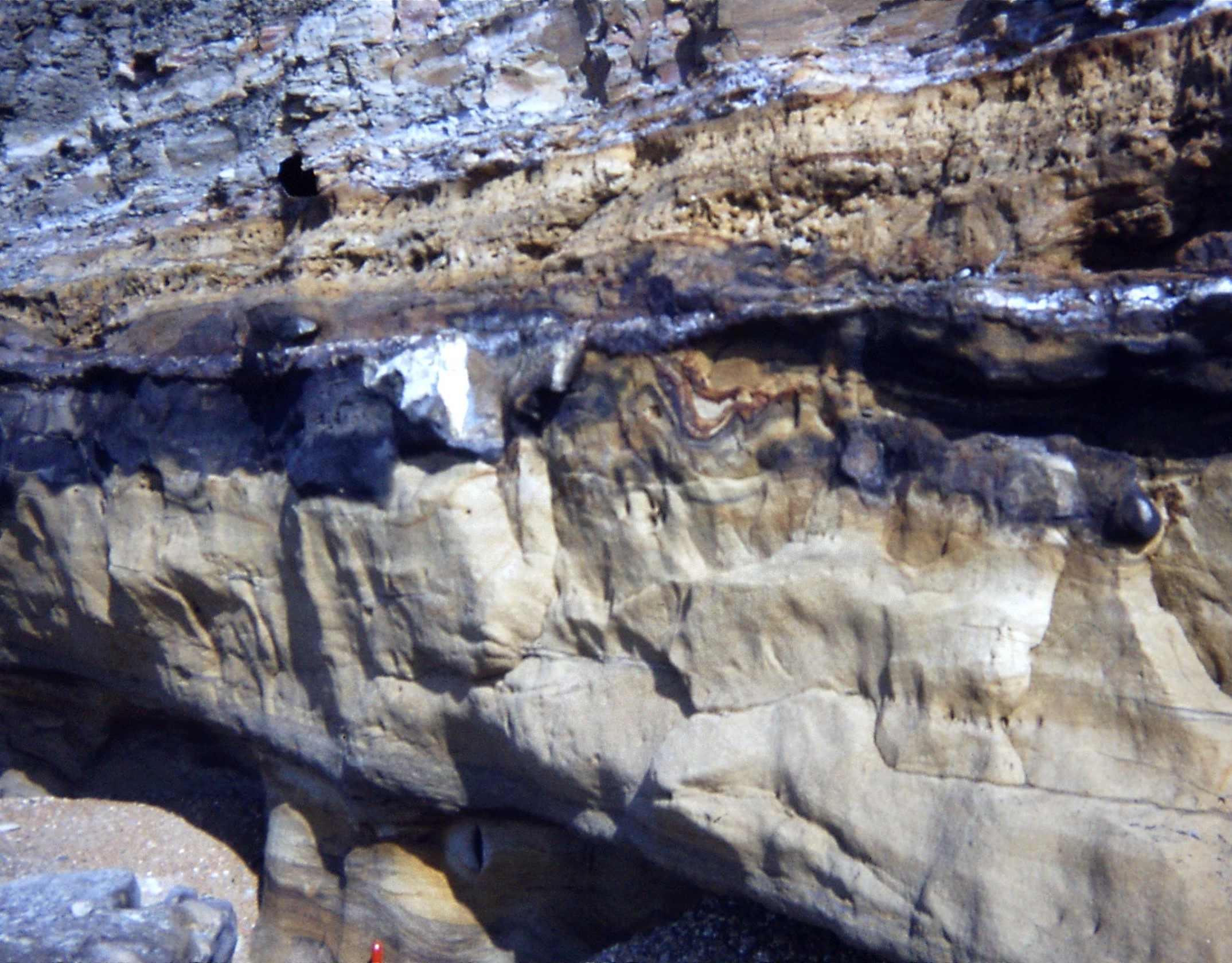 1980.10 IOW. Cowleaze Chine. Deltaic sands