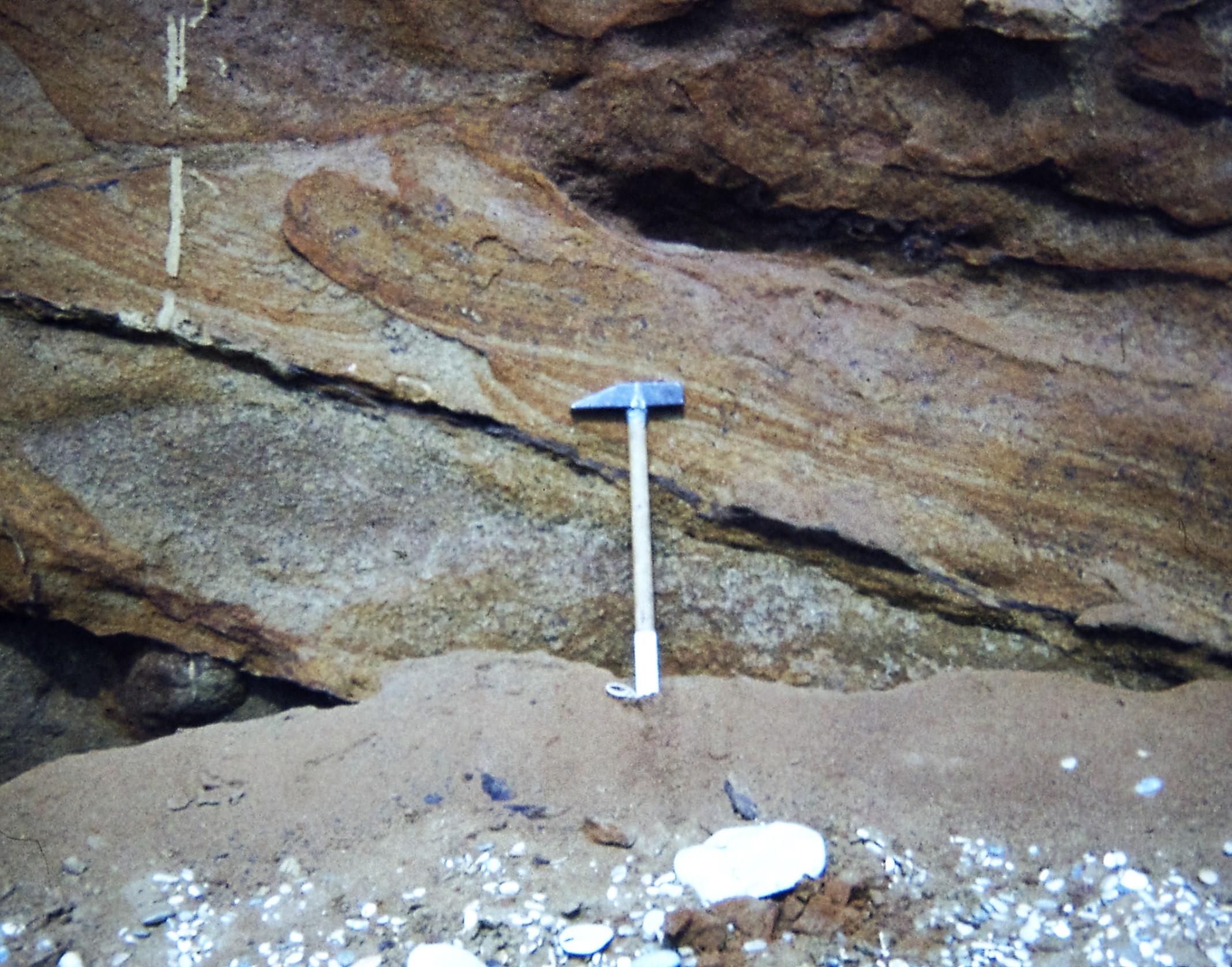 1980.10 IOW. Culver Cliff. 'Haematite bands'