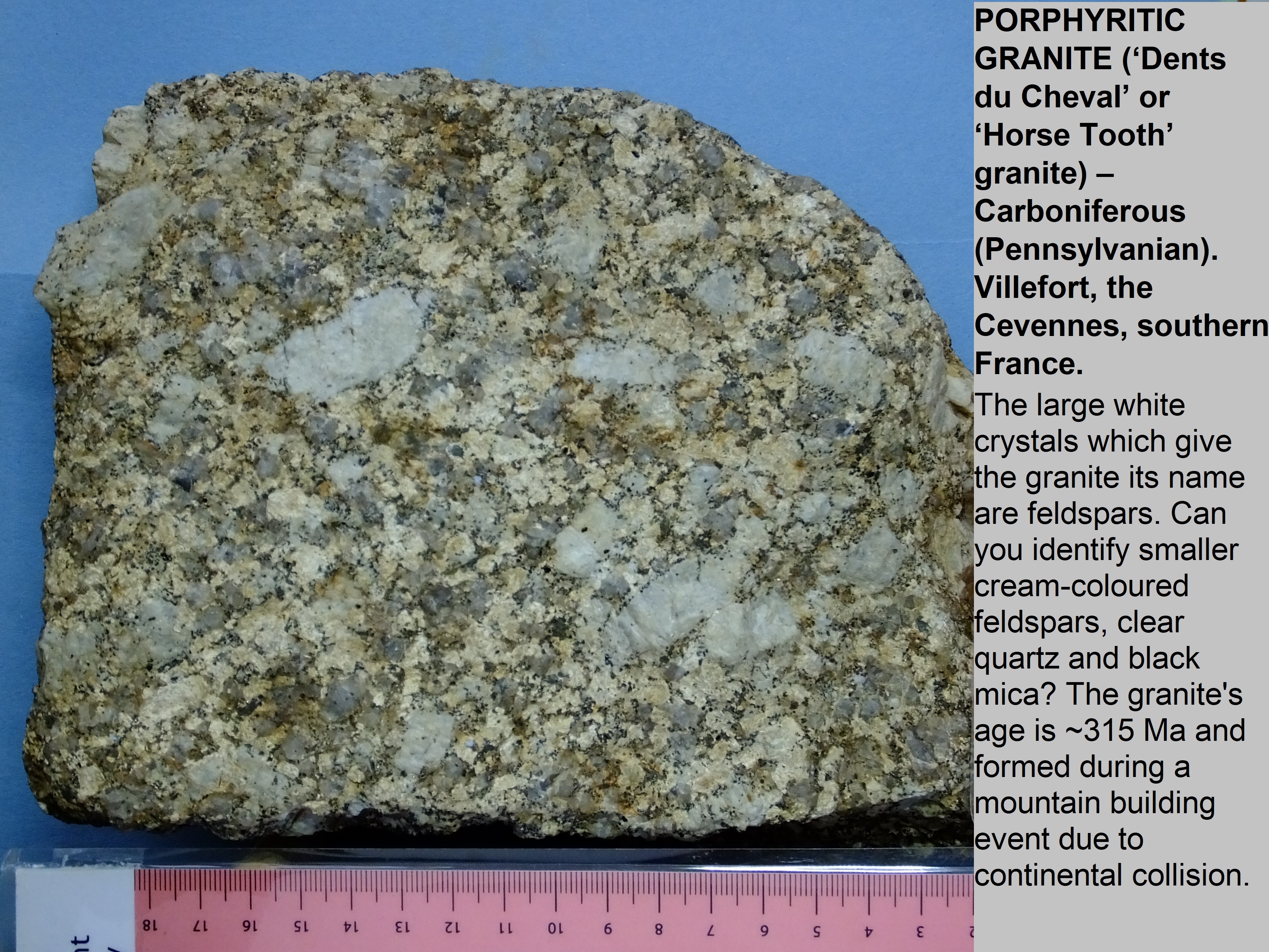 'horsetooth' porphyritic granite