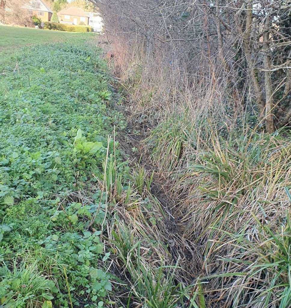 Pinn Meadows ditch