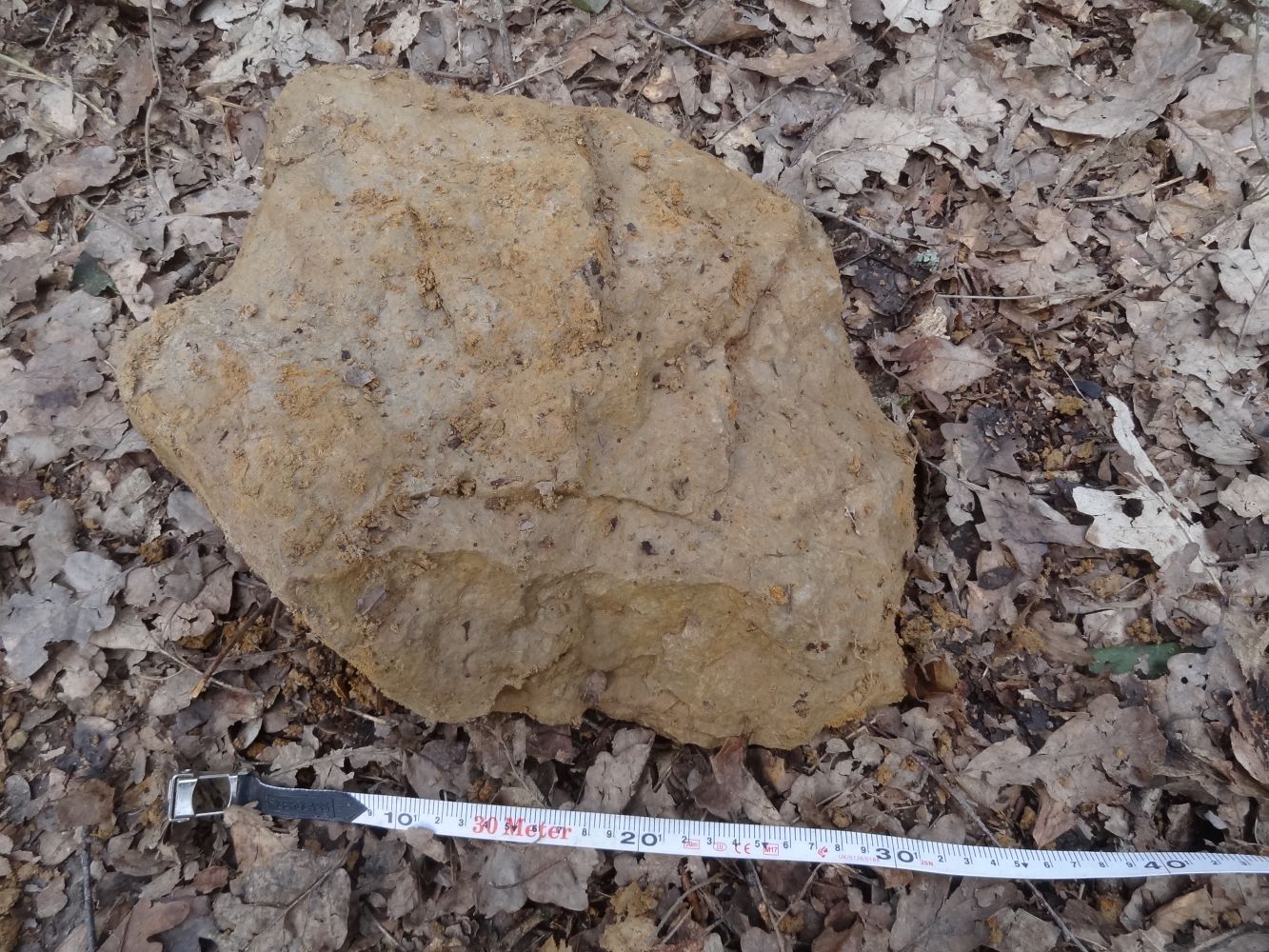 Sarsen stone at Monor Farm, Ruislip