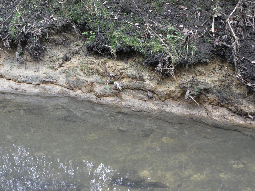 Clay in Yeading Brook, Ickenham