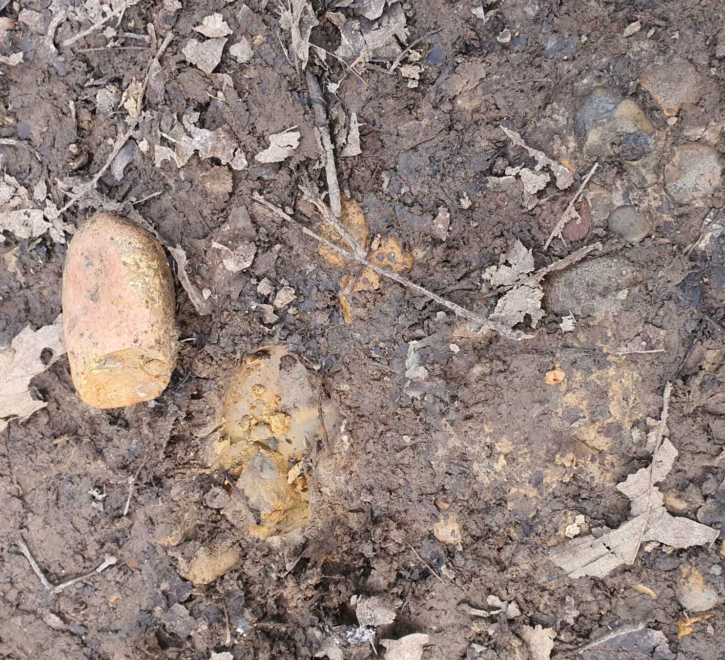 flint pebble in clay