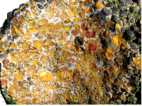 Hertfordshire Puddingstone (Uxbridge Rock Show Exhibit)