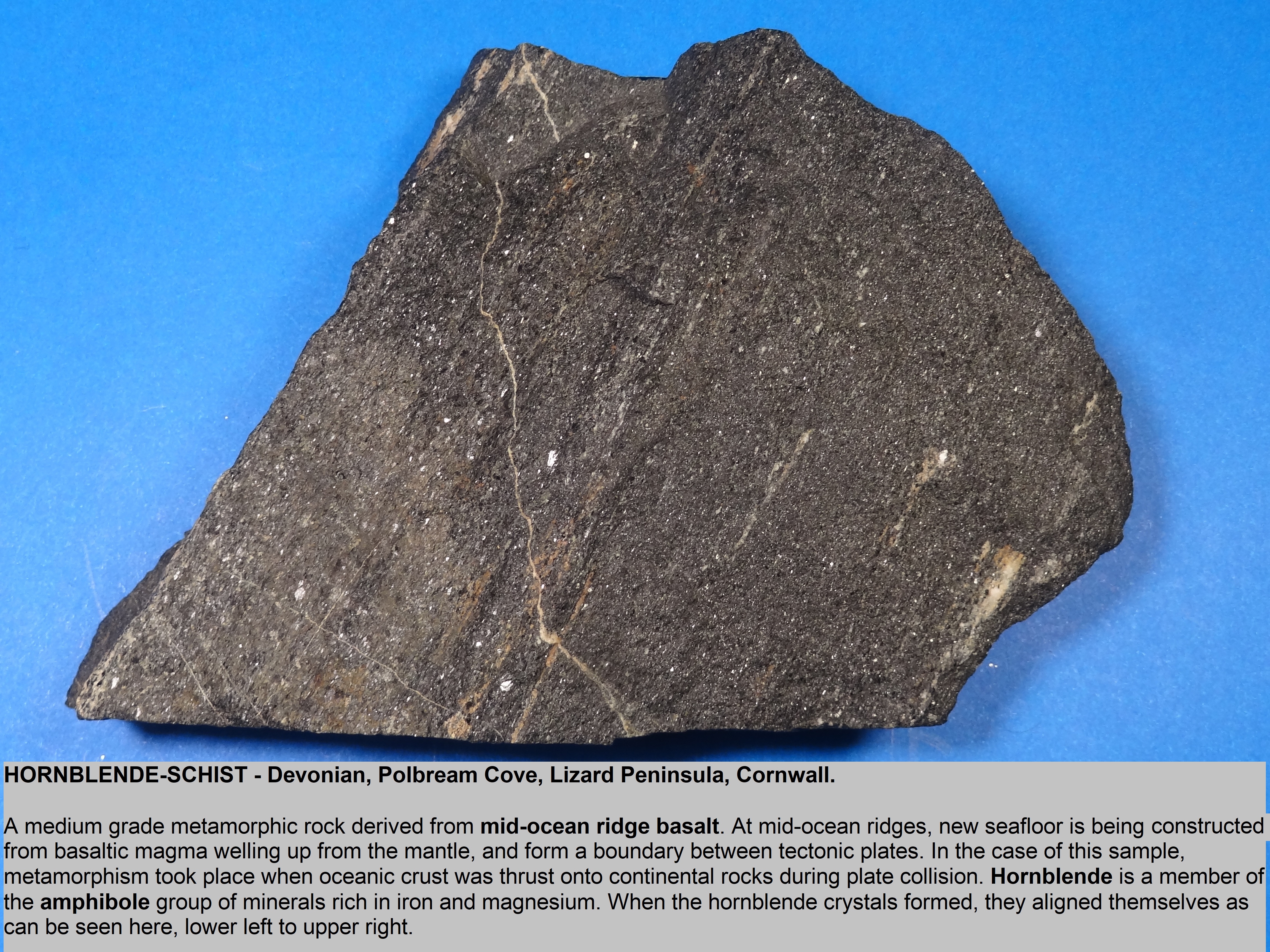 hornblende schist