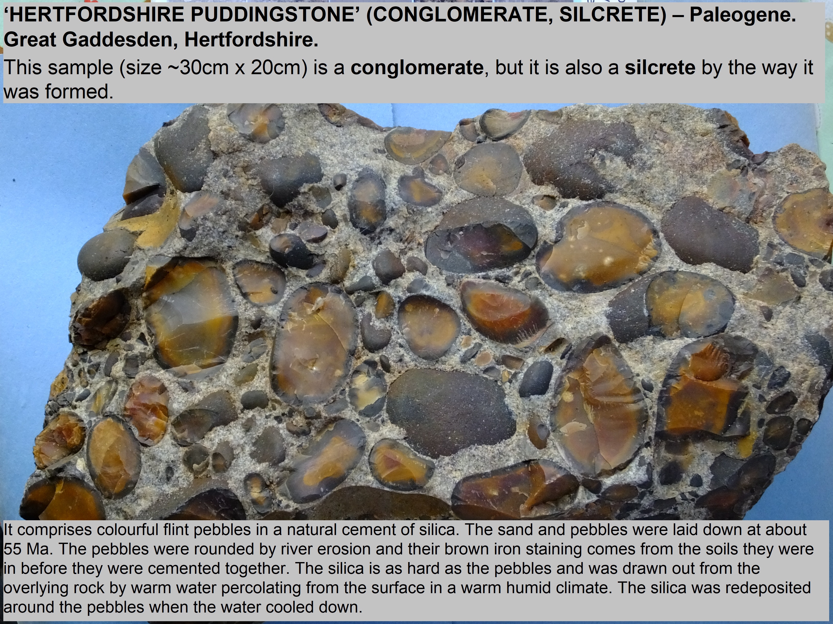 Hertforshire puddingstone (silcrete)