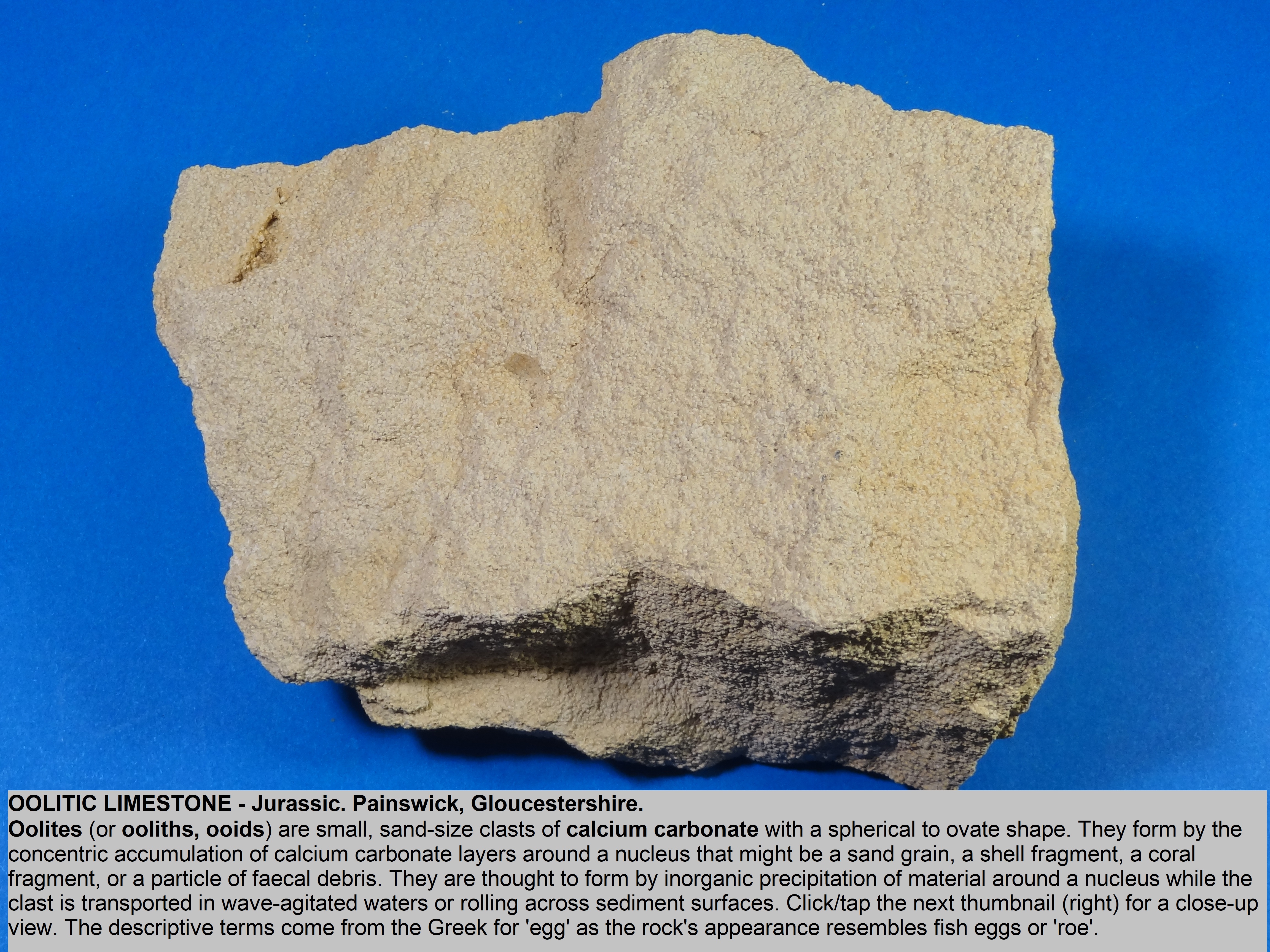 oolitic limestone