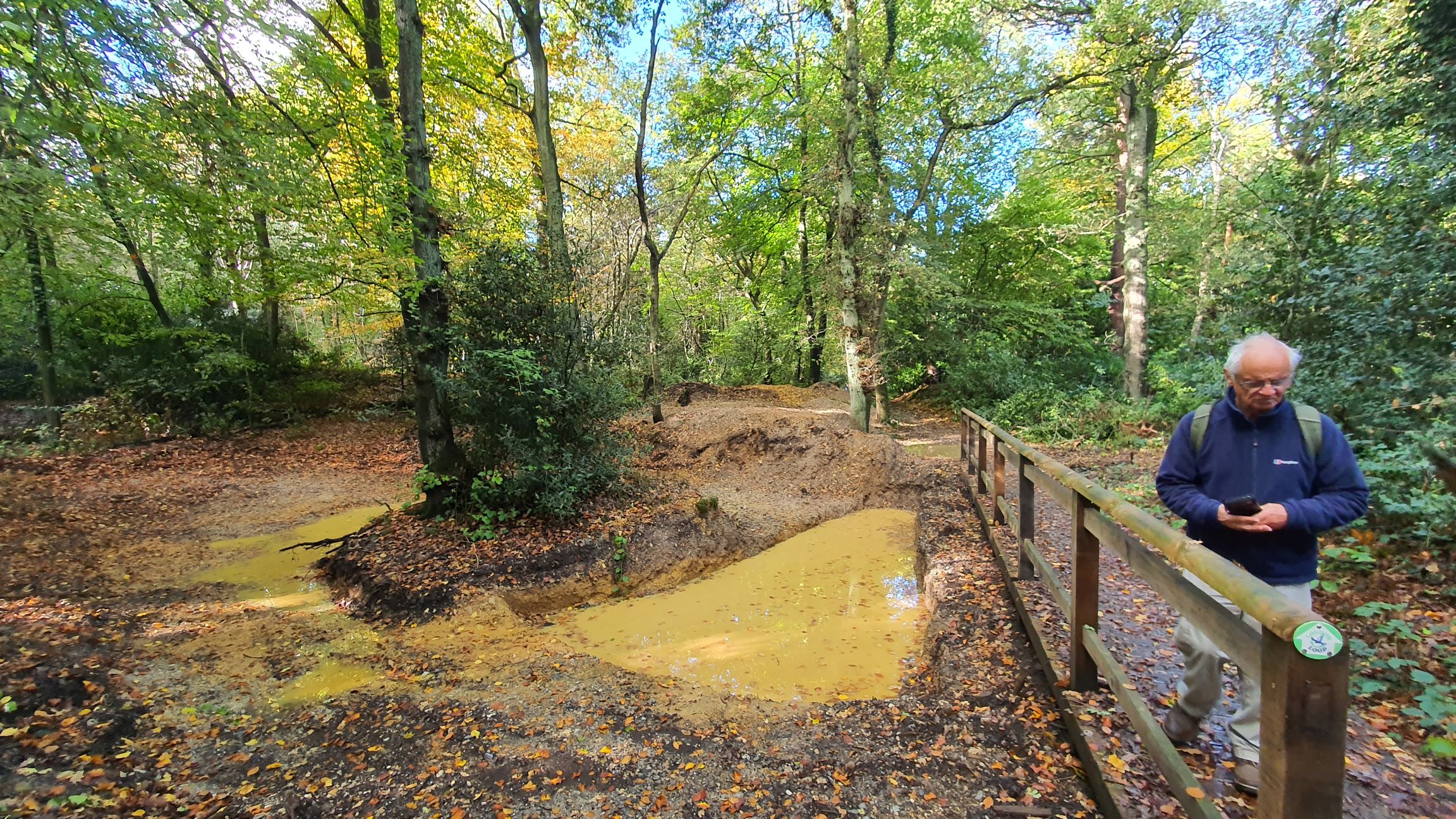 New pond on Harrow Weald Common