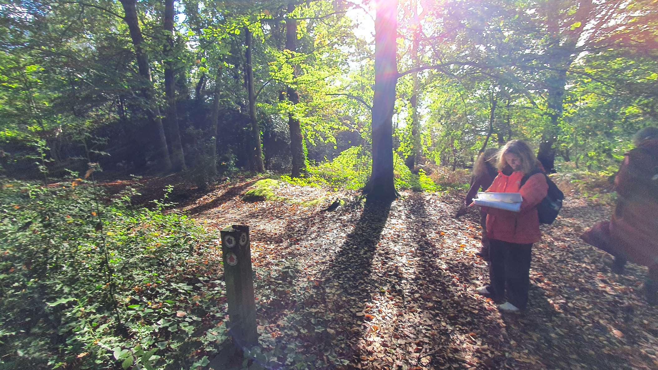 Planning the new Geotrail on Harrow Weald Common