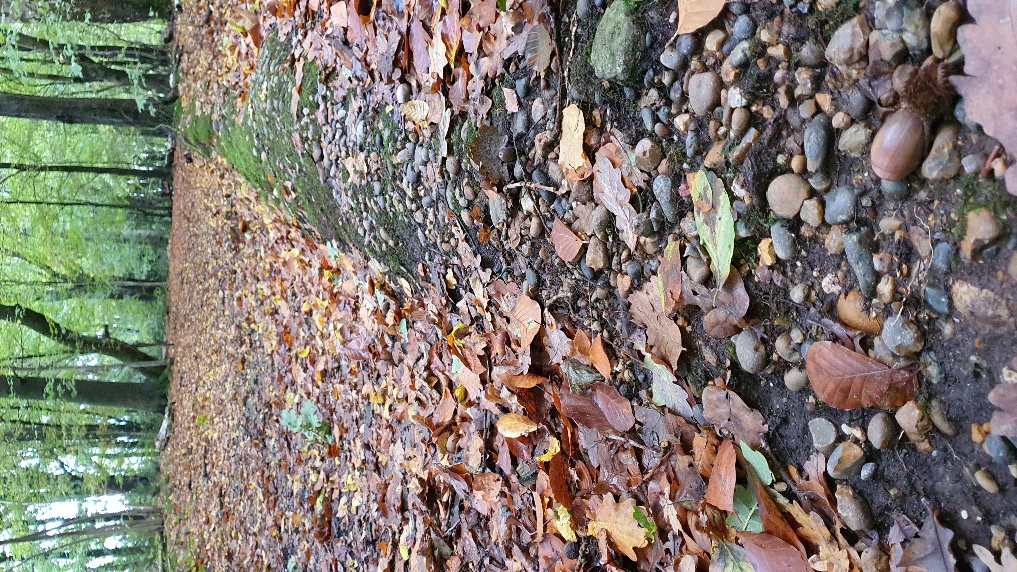 Pebble ridge capping hill, Harrow Weald Common