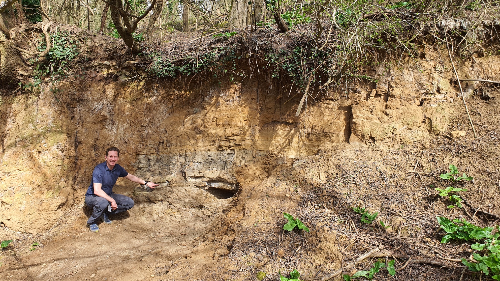 Reading Formation sands
