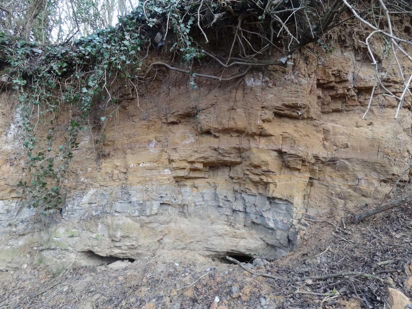 Reading Formation sands